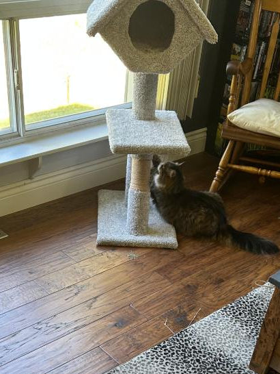 The Timberline Tower – Solid Wood Cat Tree