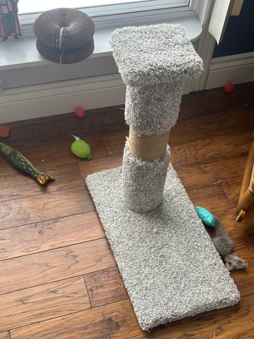gray Custom scratch post