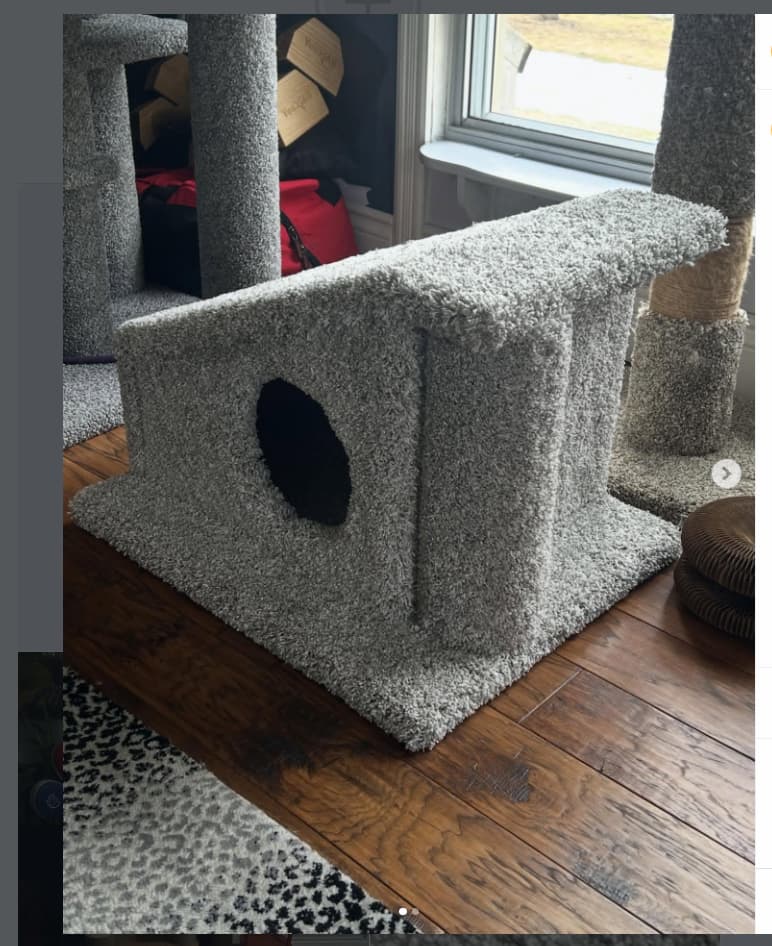 Modern Carpeted Cat Hideaway