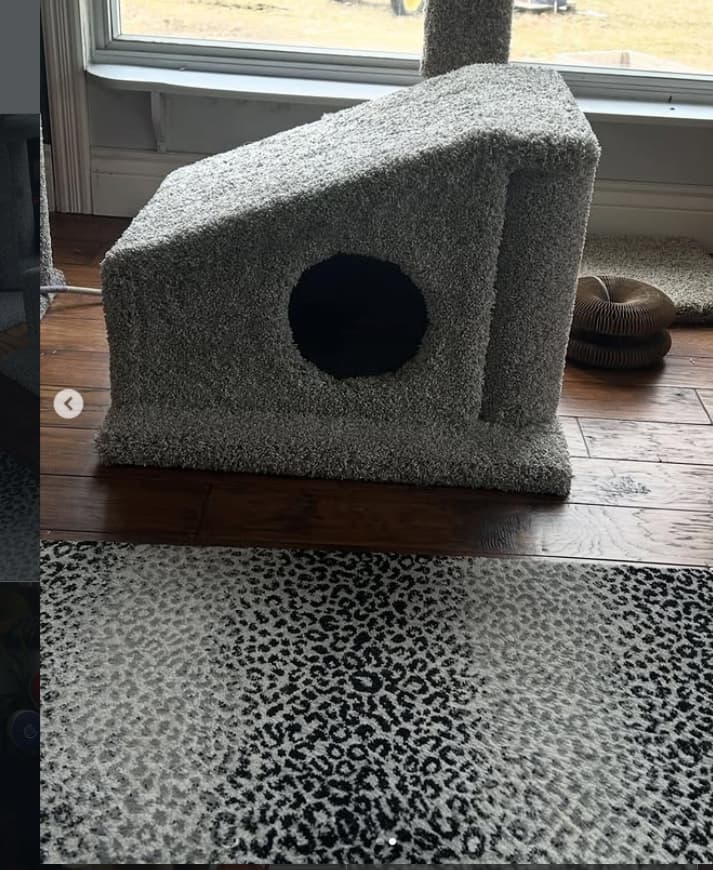 Modern Carpeted Cat Hideaway